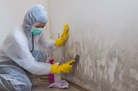 Best Mold Remediation for Healthcare Facilities  in Delta, CO